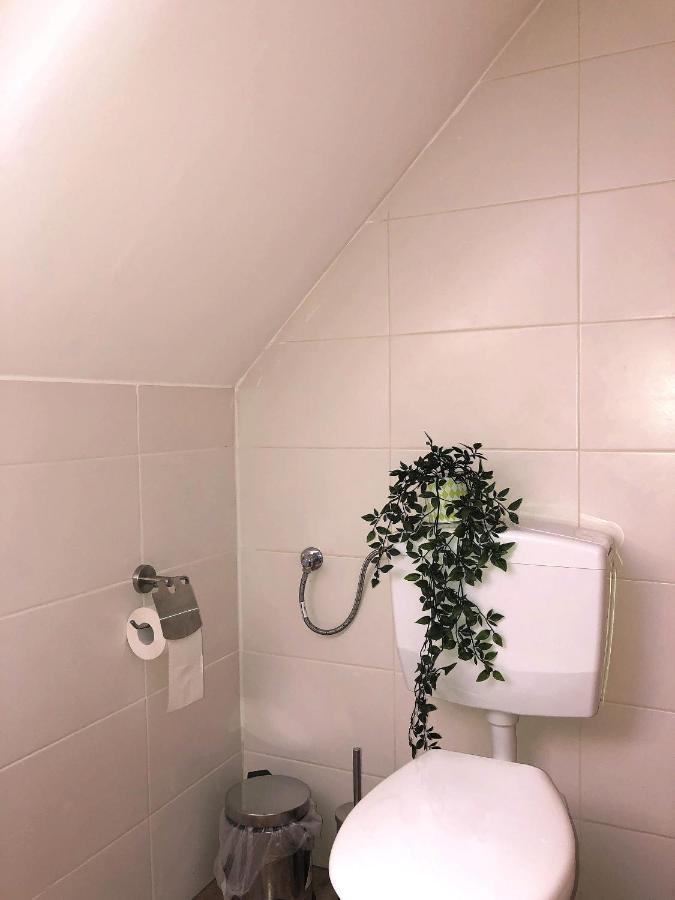 דירות צל אן דר מוזל Maximilianhaus מראה חיצוני תמונה
